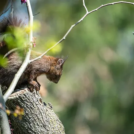 Couette-café D'hôtes - La Moneze Basse