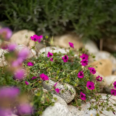 Couette-café D'hôtes - La Moneze Basse 3*