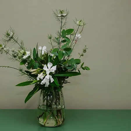 D'hôtes - La Moneze Basse Limoux