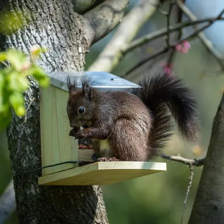 D'hôtes - La Moneze Basse Couette-café 3*