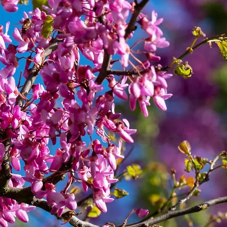 Couette-café D'hôtes - La Moneze Basse 3*