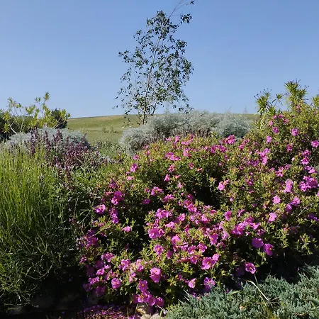 Couette-café D'hôtes - La Moneze Basse