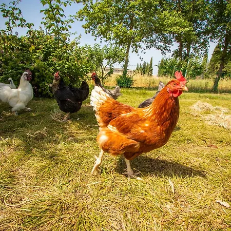 D'hôtes - La Moneze Basse Couette-café