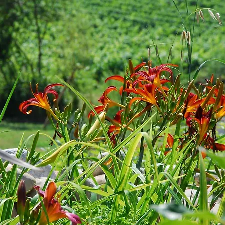 D'hôtes - La Moneze Basse 3* Limoux