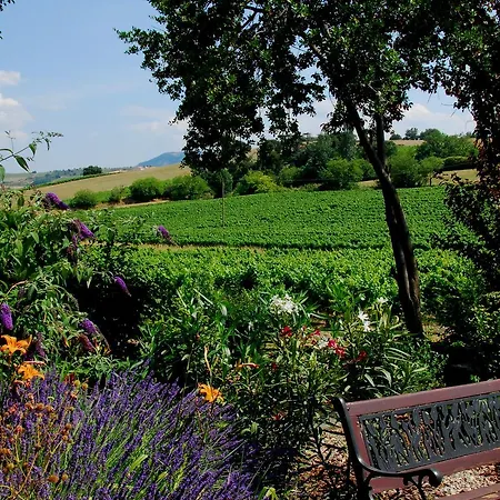 Couette-café D'hôtes - La Moneze Basse 3*