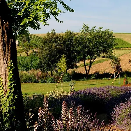 D'hôtes - La Moneze Basse 3* Limoux